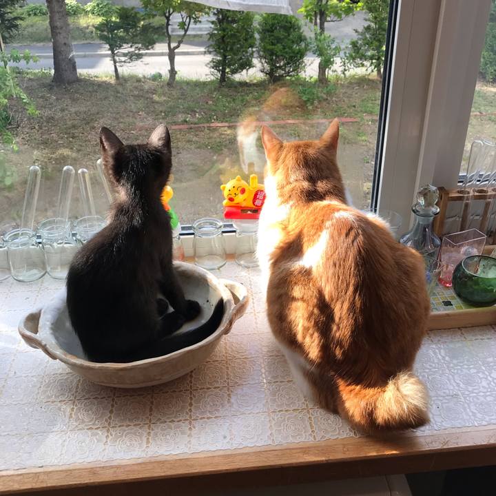 B68da18a 3e3b 4579 99d0 5cc801b8377a 1563917850758