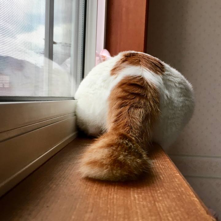 B68db42a 7e16 4b69 8166 208aa99435e6 1530138544136