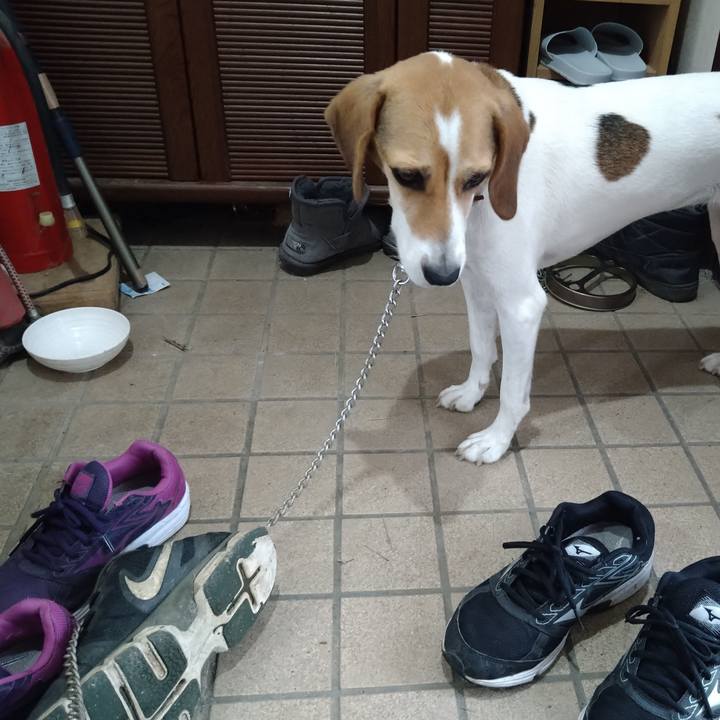 B68db83b a8bd 431b 9361 8da98873e668 1629004692084