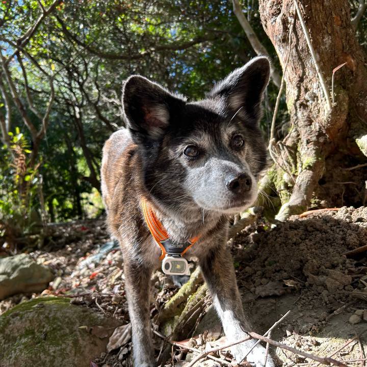 B68dc1a5 95e3 49b6 8b07 c539129a2a41 1743768102899