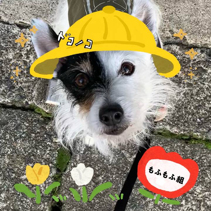 B68dc82b dae0 4ea8 ae2f 924188be9ef6 1712293120660