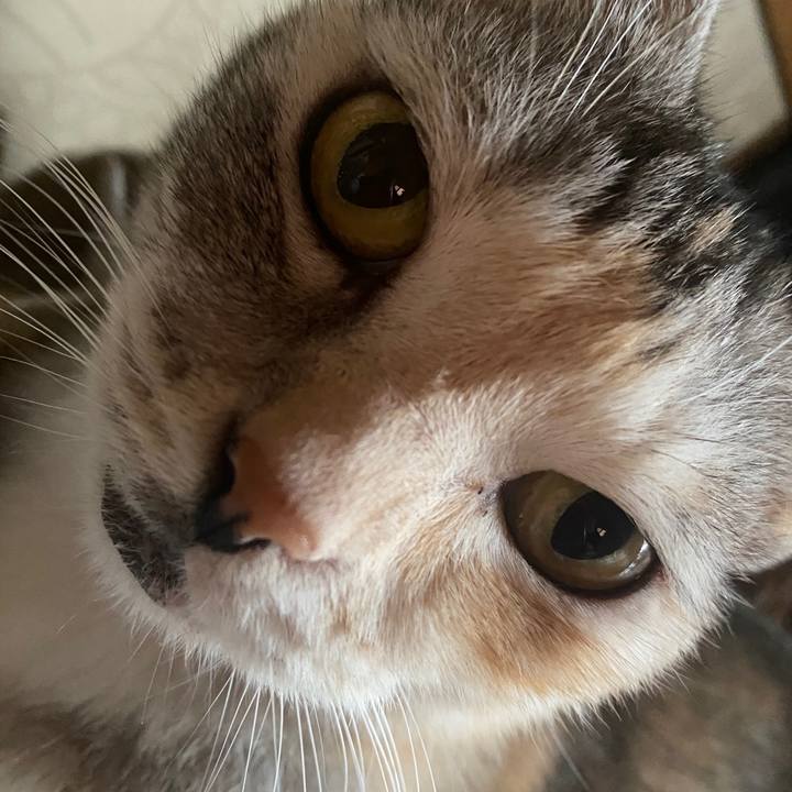 B68df1b0 da9d 4992 9a96 3aa1f6872203 1601819903180