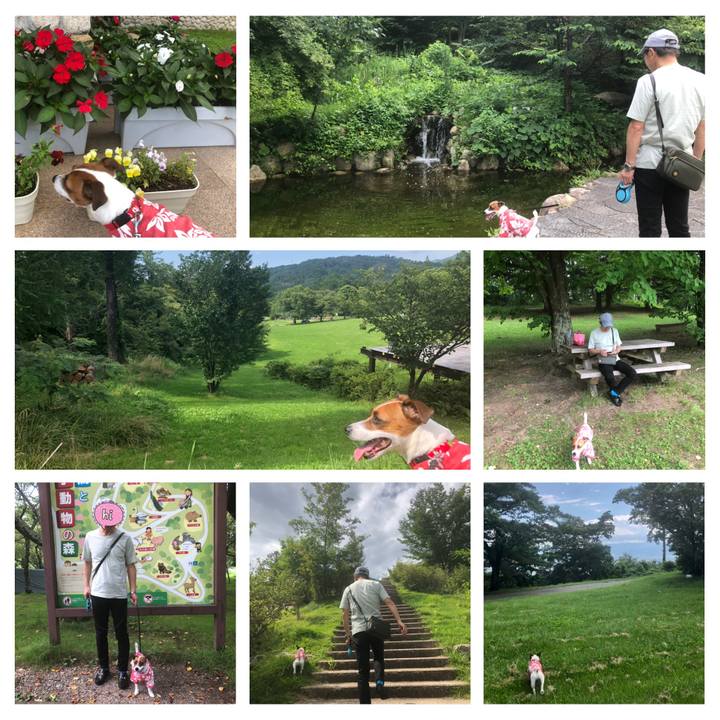 B68e0f1c b79d 40ee bc29 837c287be10b 1596264100606