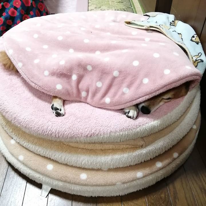 B68e4363 4412 4060 a7f8 0993d964eb71 1681304783414