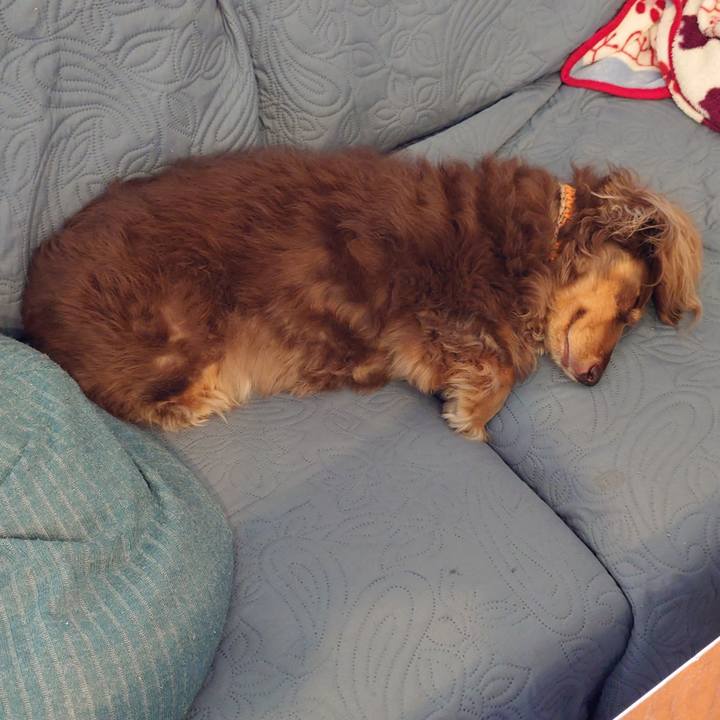 B68e7ff0 5bab 420e a0eb a16dd940d6be 1731296474508