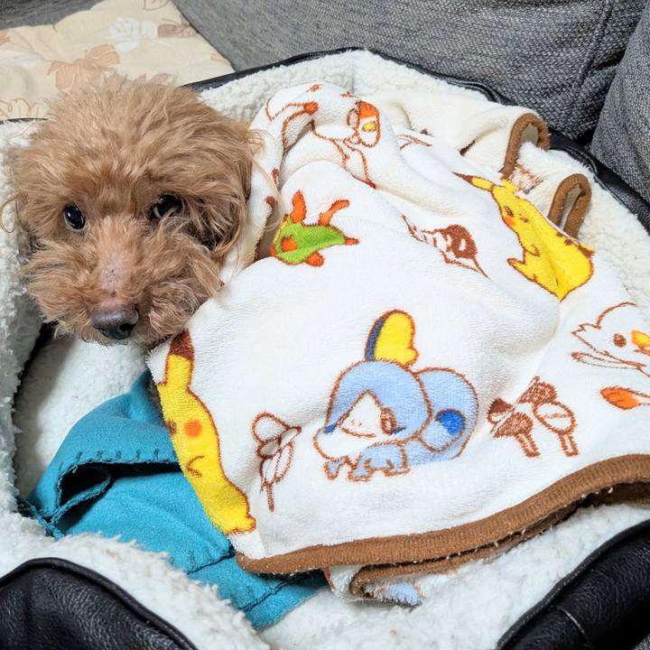 B68eb168 52d6 48a4 9360 555fcd1e1d87 1769339180214