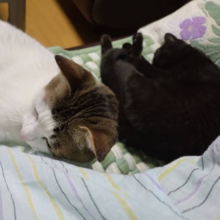 B68eb51f 07e5 410a b495 5ef2a9fc23ac 1750381207800