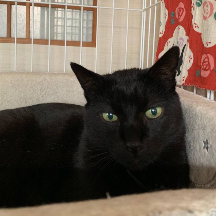 B68ec64c f959 4777 9298 97fb91fef74d 1552006833674