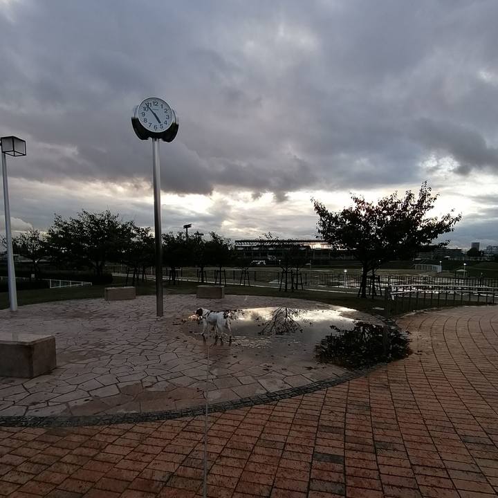 B68ed89a 1d06 41b2 a0bc 8508fb37ca8b 1572003592398