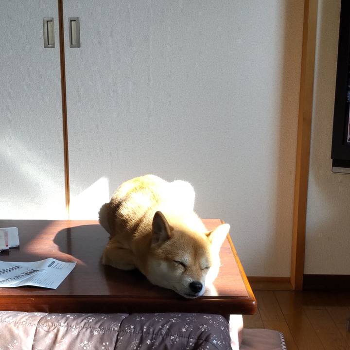 B68eda71 18a7 4472 898e 2d059fa1a8fd 1699937908339