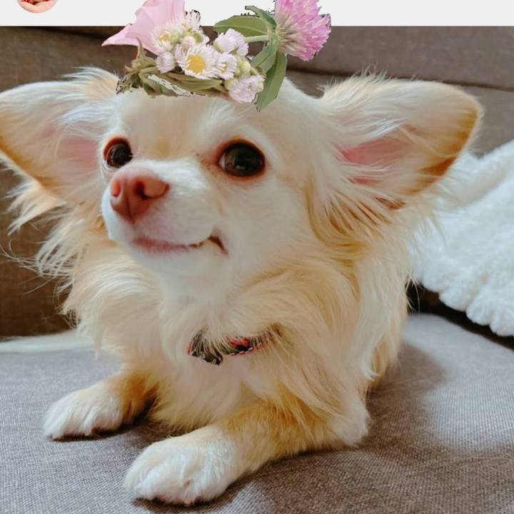 B68ee1d2 70a0 479f a9f1 0ff73d3bc06c 1654685402529