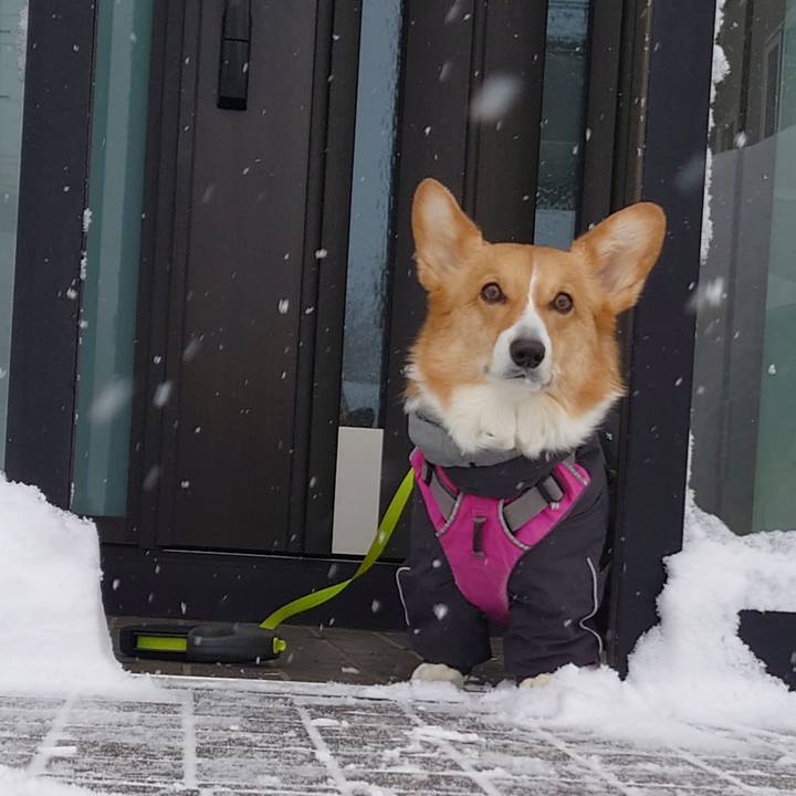 B68f07c8 1a70 4f4c 9396 c31f25663552 1769819826617