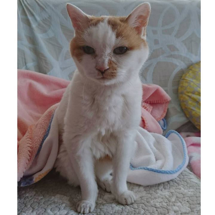 B68f1b64 d4d2 4442 bf0a 27d7c266fbd9 1682251240483