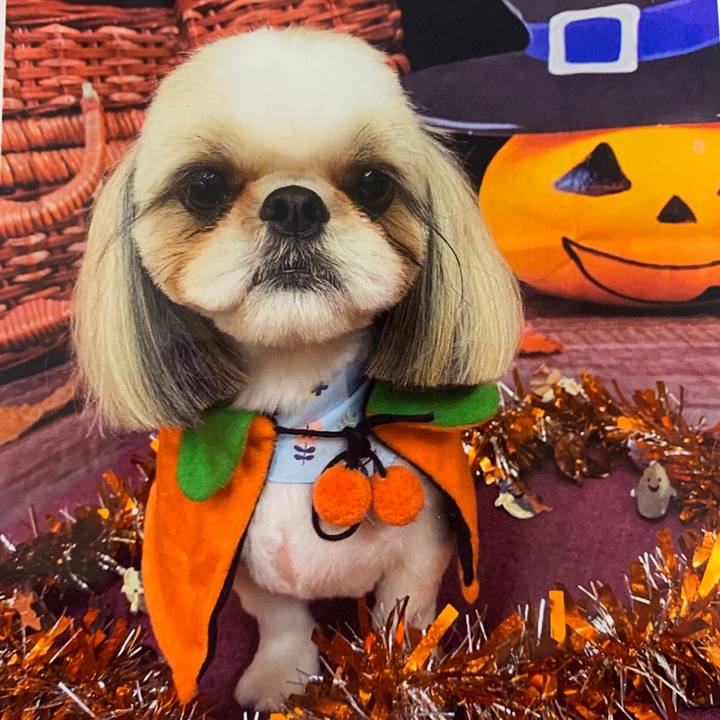 B68f3888 d359 49b4 93e4 009f0b1867ec 1667185823929