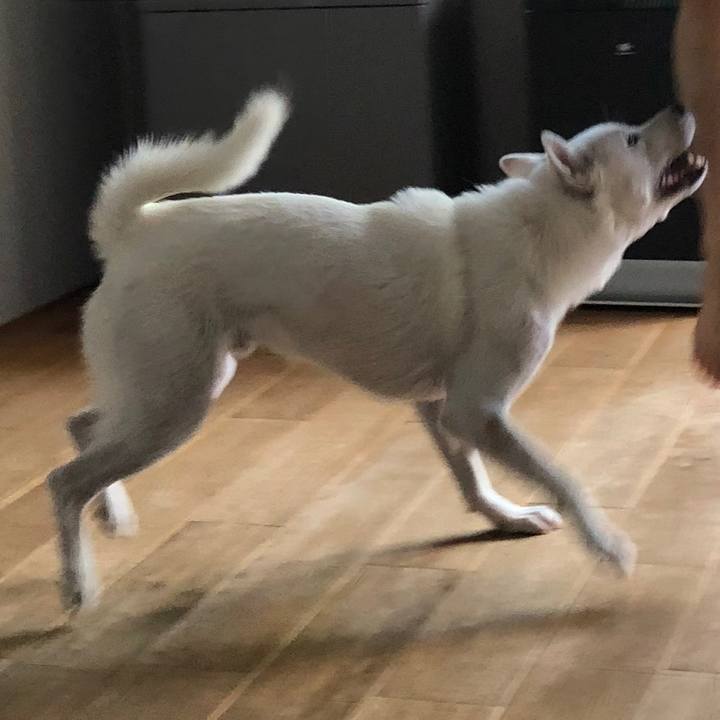 B68f49e4 971a 441a 8a96 243d8239461b 1534811420836