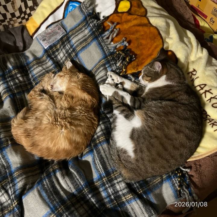 B68f5a4f 273c 4ff3 b2b4 3b7902673384 1767909870030