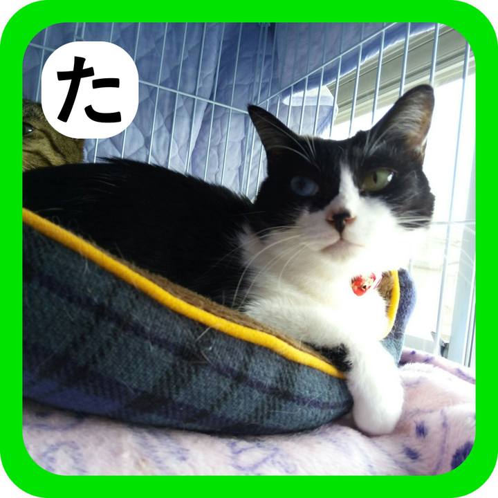 B68f681d 45f2 4b48 a2c0 8002857cdc88 1515064096945