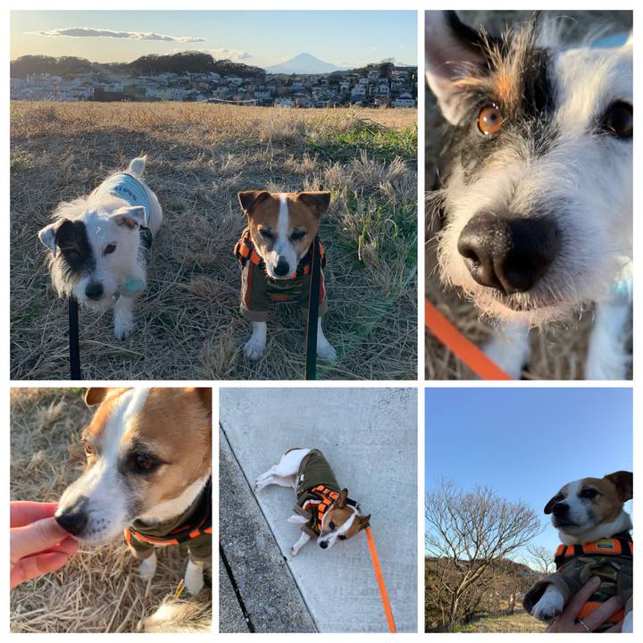 B68f68b8 0e8b 458e 9d98 d5e61429d2c0 1580370935841