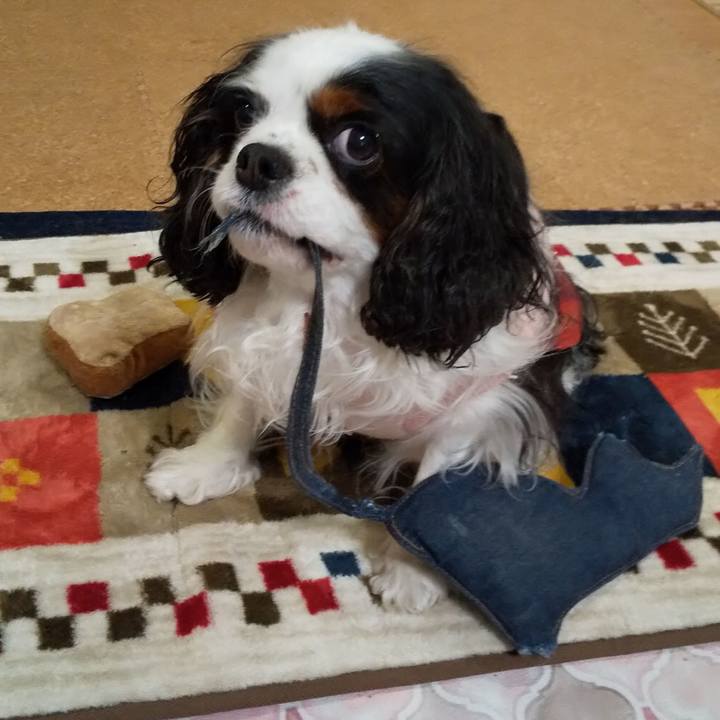 B68f6d2b 0a71 4872 92f9 40ad5e794564 1581823920338