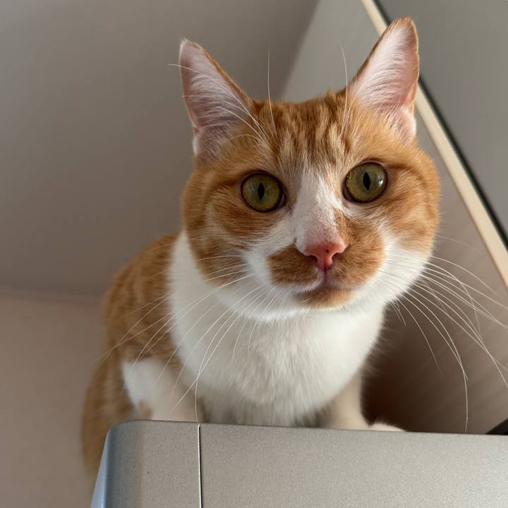 B68f7630 0a6e 4137 b2fa 2fa9be22bf87 1761956180576