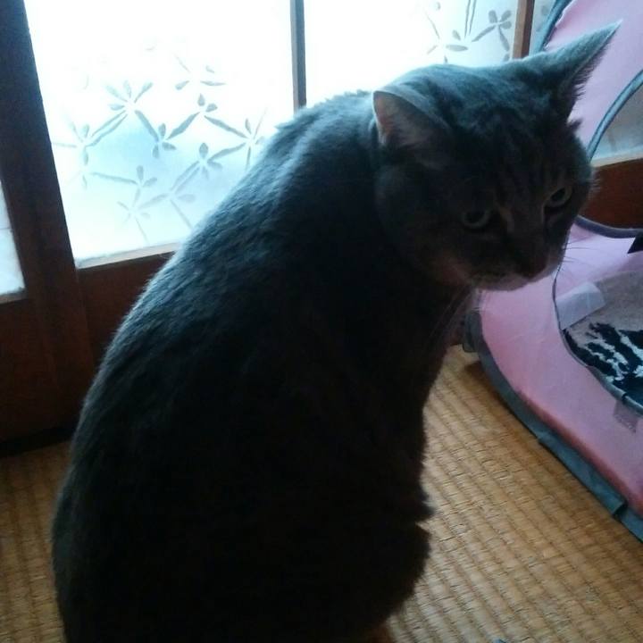 B68f8209 31f6 4376 b1b8 0b10ab3f2d5e 1538014837291