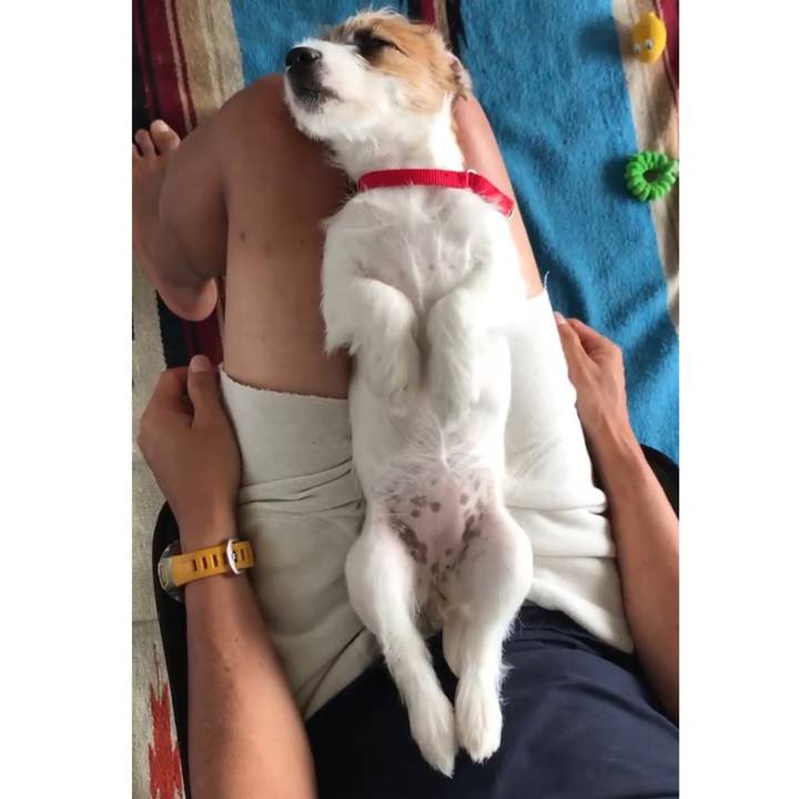 B68f83df 6d8c 436a bbf7 8ea352c4c752 1758021526883