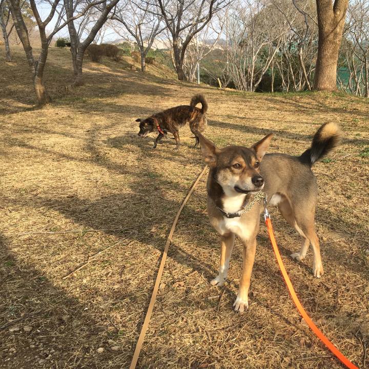 B68f9e13 ebd4 44d9 a820 519195027d48 1514015444064