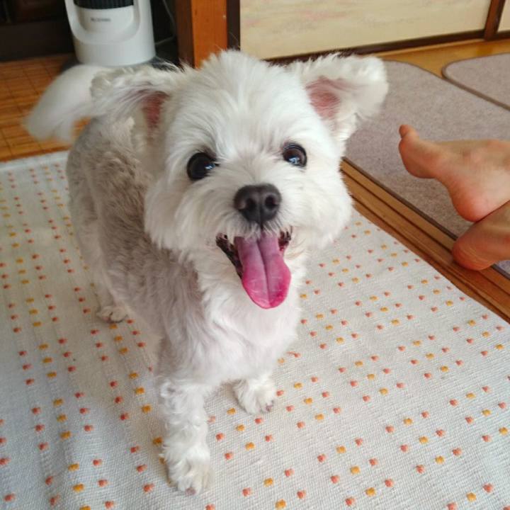 B6900b79 cef7 4899 b389 12366ebe1f2e 1517722515938