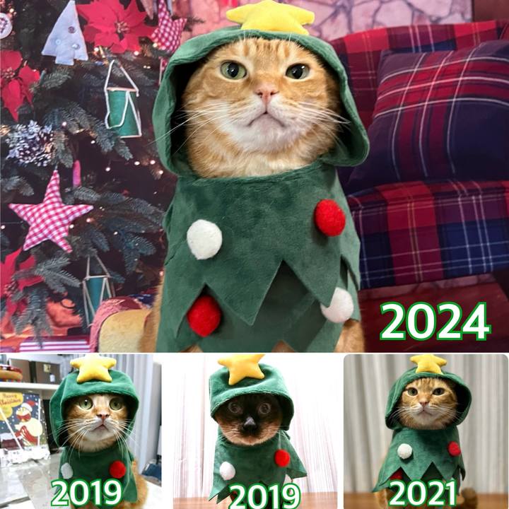 B690183c c61f 45e7 838d 17653f9e2c8e 1732789926441