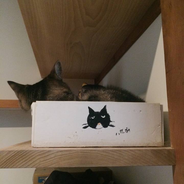 B690356c e52b 4235 b975 58184a470c74 1533688098298