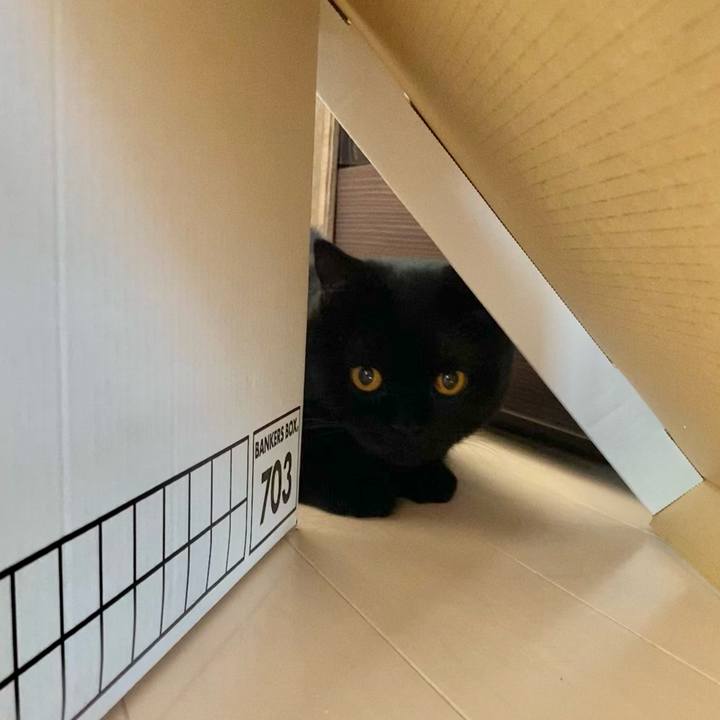 B690e75f 0e36 4d76 b201 919df87598b5 1666493116774