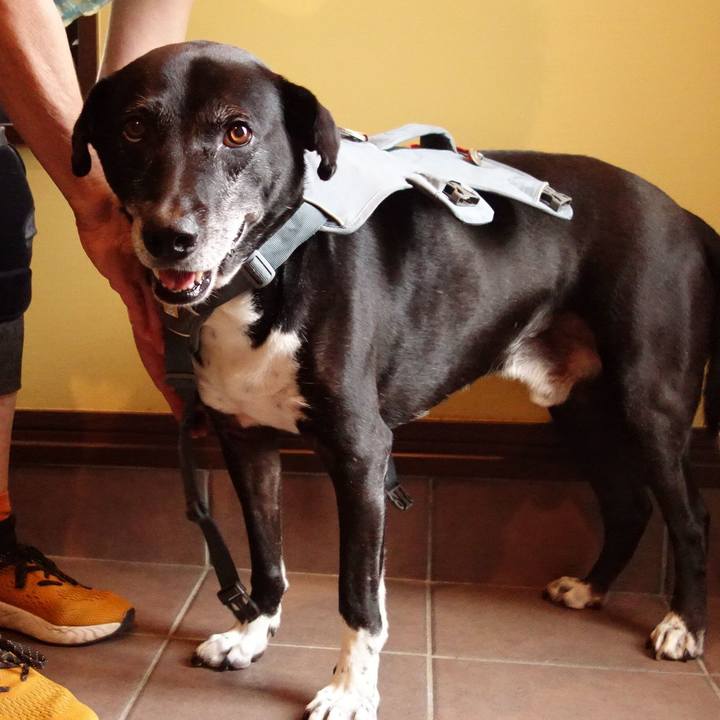 B6911130 a887 429a b3f0 1aec7bebc2ab 1751585246741