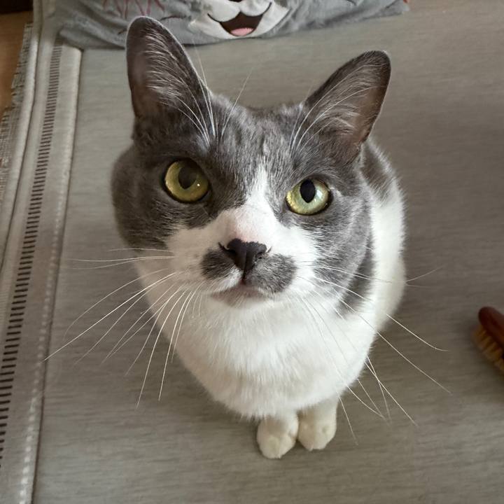 B6914b86 f0ec 4ed0 bf3a d6e8b509c879 1761447408142