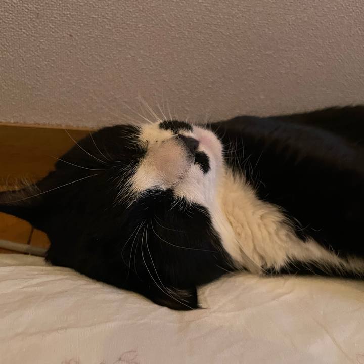 B6916512 0990 403b 8161 2f04d8527b60 1690467822848