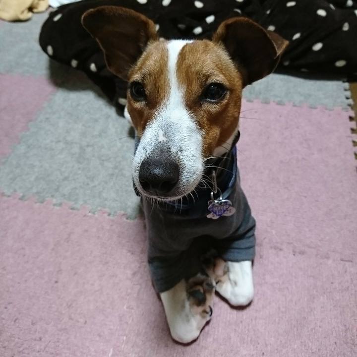 B69165a0 653f 490a 9494 5aba592cf2b1 1543839824484