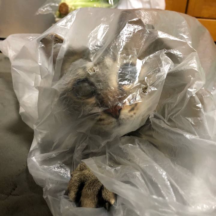 B691773d ef27 482b 87a8 7a1809badf86 1521428372645