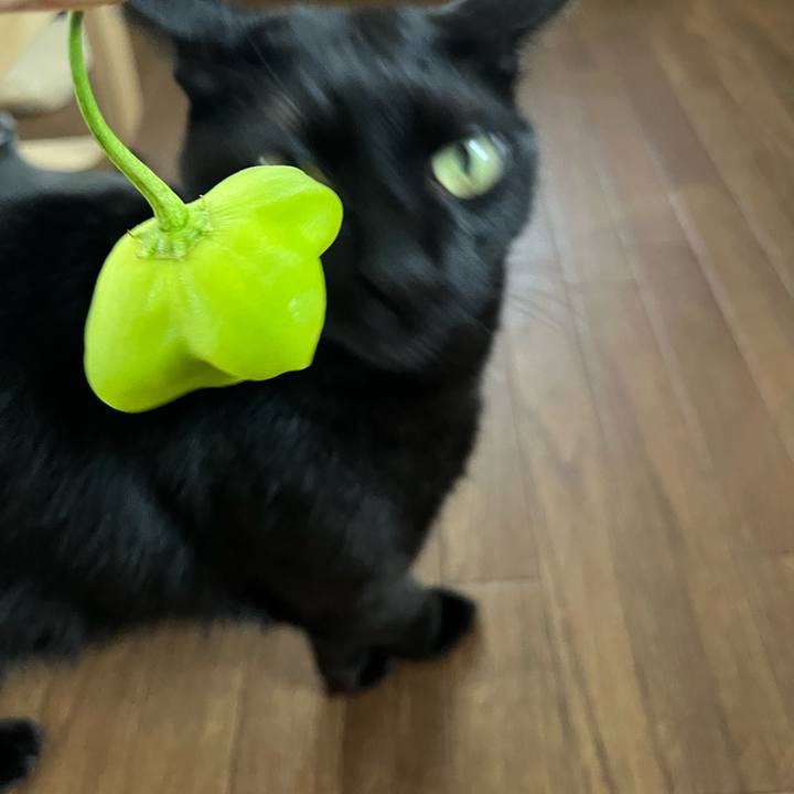 B691b254 f542 4189 8e28 6cecaee9f0c1 1692835840058