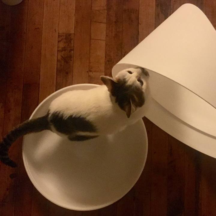 B691b2e7 9bc1 4982 a4bd 736bd4ade27c 1551776301032