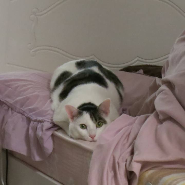 B691c161 0cb4 410d a9e1 9d7261015261 1512831332204