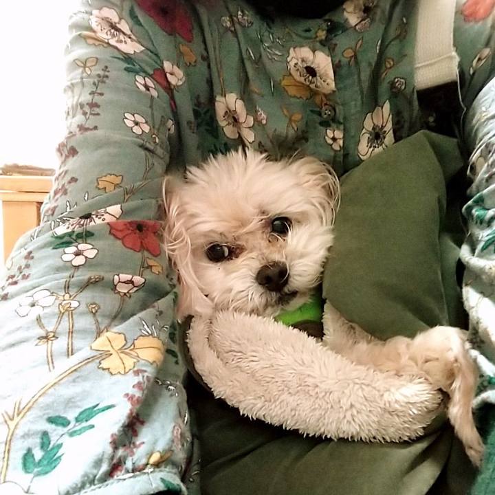 B691c266 f292 4e78 88c4 f3c15d0fbf61 1611363154403