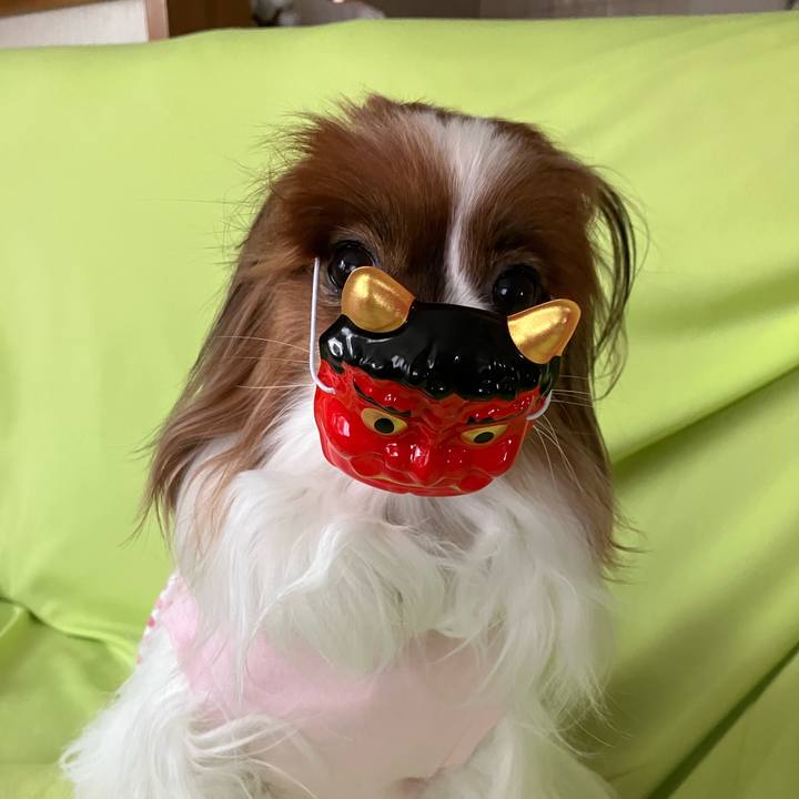 B691c7fd 65c3 4b5f b118 5c8e5b6fe838 1738462267578