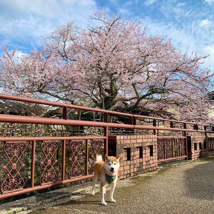 B691f5b6 4c42 4f65 80ac 57f6a0bc632c 1679914487045