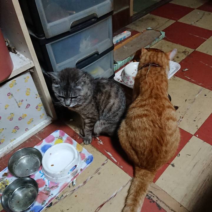 B692369a a4a3 4e20 b324 14a8b449f5f4 1566417719660