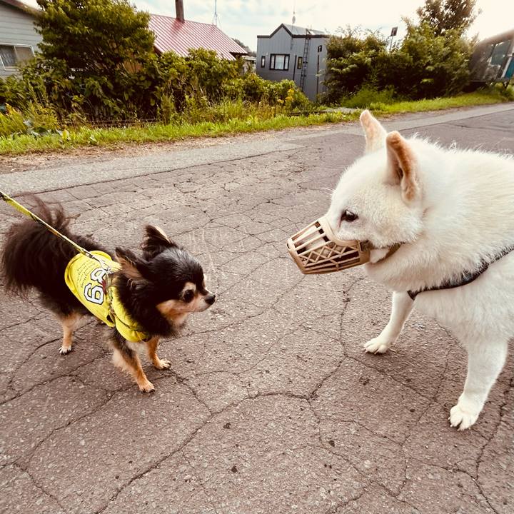 B69250c8 e868 446a afbb 9abd99ecdf55 1754948434894