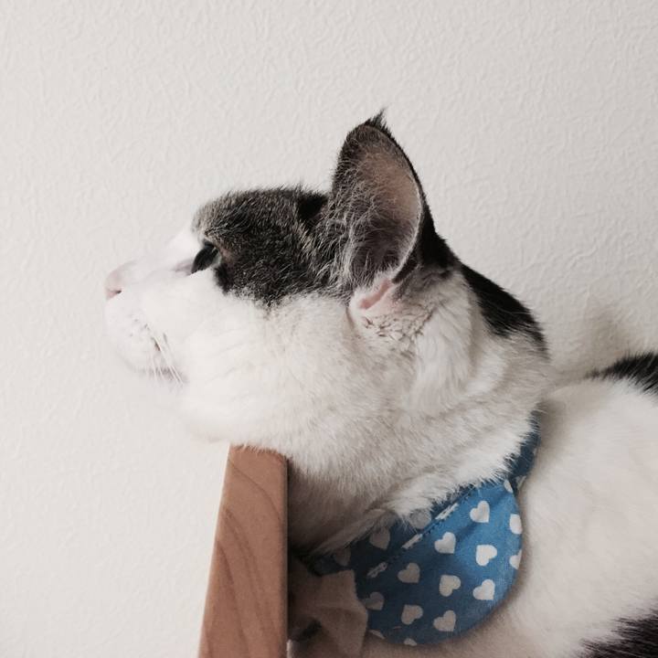 B6926d0e 36d4 408c 9049 b00b4d7ab6cc 1526308493467