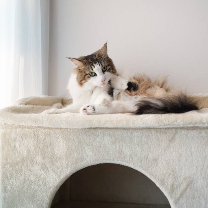 B692dbdf fd25 4d7d b56d b7d5a69ded6e 1600737699613