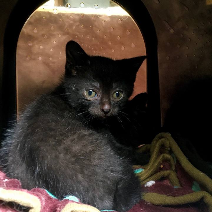 B693233a ac0f 434f 9264 34d013ddcace 1623814995754