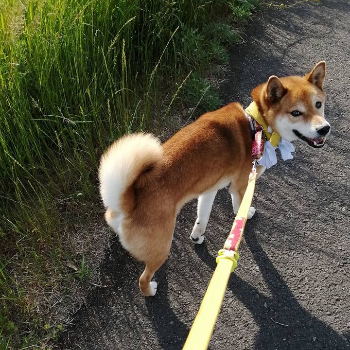 B69362f3 5eff 4111 a799 2b93fee1ecc6 1589443250916