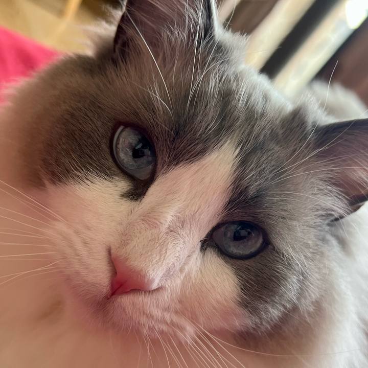 B6937da6 9426 4b0e 913b 47366d25726c 1649481249047