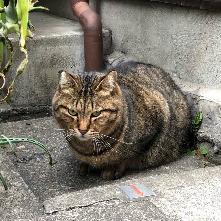 B693c989 31f0 460a b530 39a866889a85 1518915972476